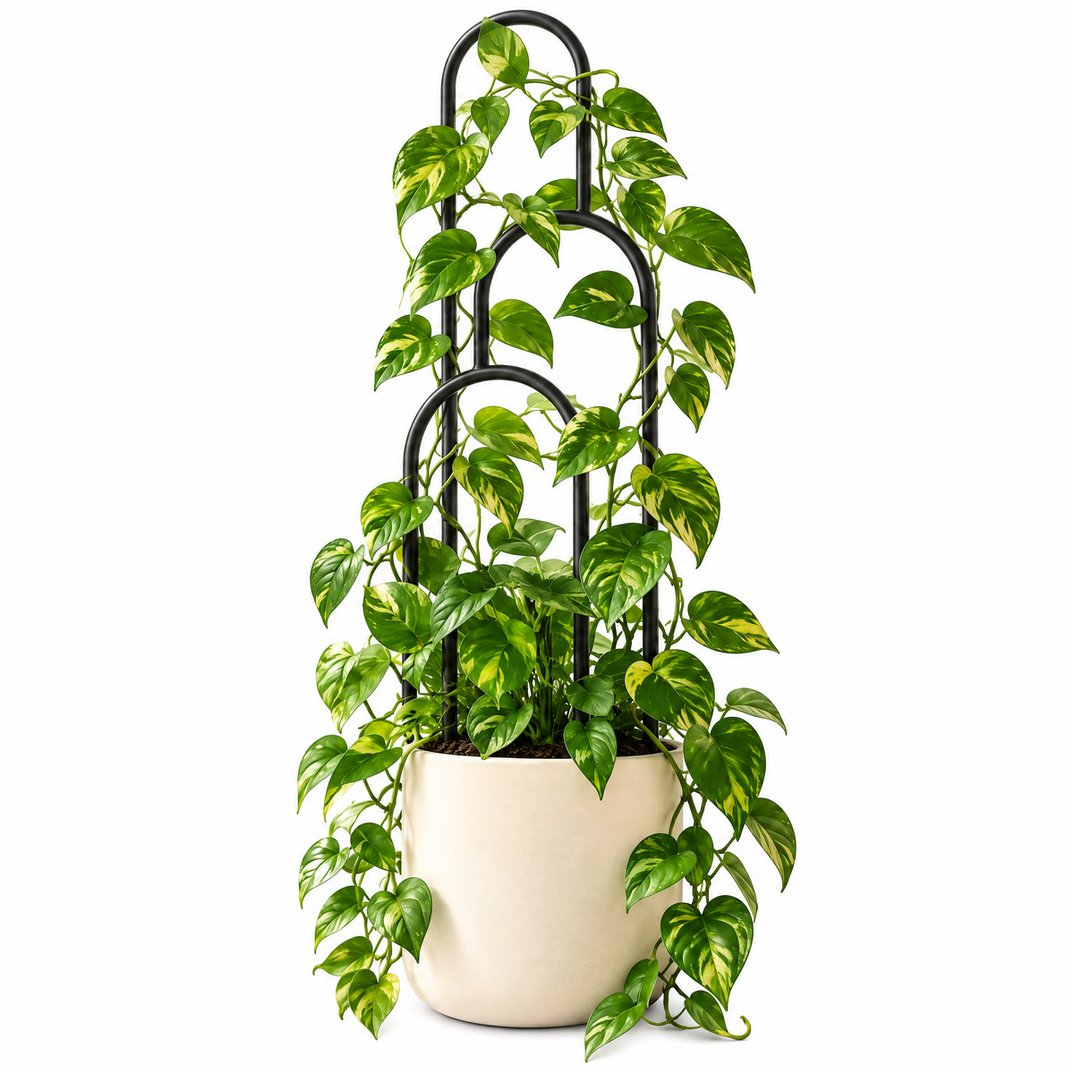 TIDAVERO™ FormaVine Indoor Plant Trellis